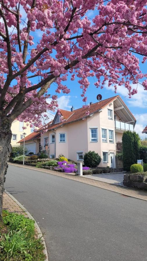 Tauberperle Apartment Weikersheim Exterior photo
